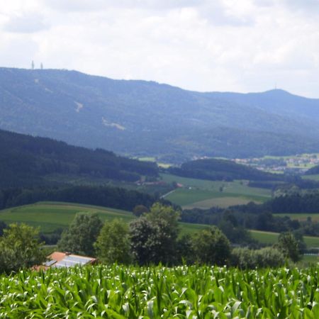 Gasthof - Pension Schamberger Neukirchen beim Heiligen Blut Extérieur photo