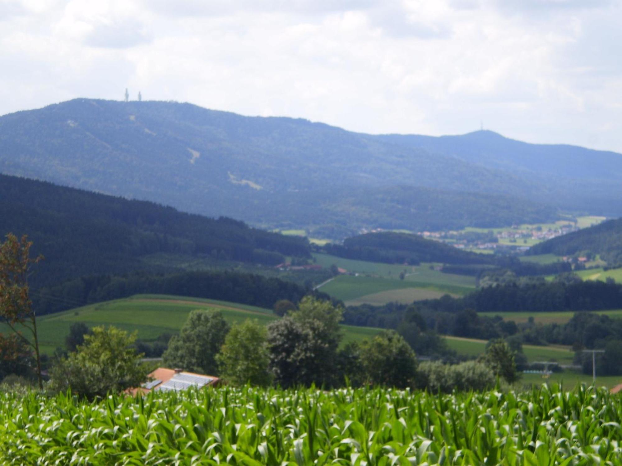 Gasthof - Pension Schamberger Neukirchen beim Heiligen Blut Extérieur photo